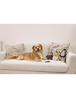 Mordedor de perro Kerbl 80930 Blanco Rojo (4 Unidades)