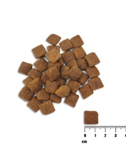 Futter VETEXPERT Raw Paleo Healthy Grain Adult Lachsfarben 10 kg