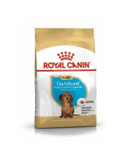 Pienso Royal Canin Breed Dachshund Jun Cachorro/Junior Arroz Vegetal Aves 1,5 Kg