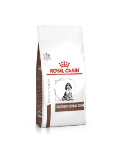 Pienso Royal Canin Gastrointestinal Cachorro/Junior Aves 1 kg