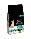 Fodder Purina Small & Mini Sensitive Adult 7 kg