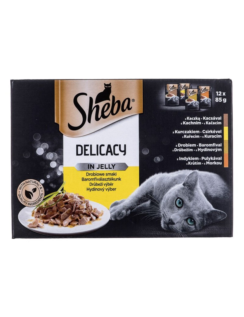 Katzenfutter Sheba Delicacy in Jelly Huhn Truthahn Ente Vögel 100 g
