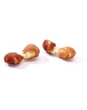 Pienso Maced Adulto Pollo Pato 500 g