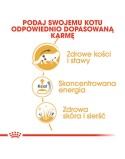 Comida para gato Royal Canin RC POS musthave Carne 12 x 85 g