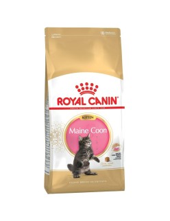 Comida para gato Royal Canin Maine Coon Kitten Arroz Aves 2 Kg