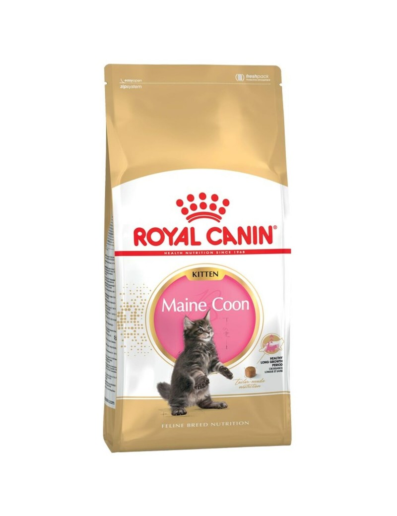 Comida para gato Royal Canin Maine Coon Kitten Arroz Aves 2 Kg