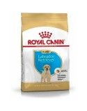 Pienso Royal Canin Cachorro/Junior Pollo 3 Kg