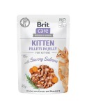 Nassfutter Brit                                 Huhn Lachsfarben 85 g