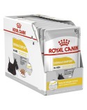 Nassfutter Royal Canin Dermacomfort Fleisch 12 x 85 g