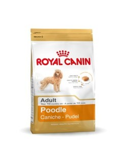 Futter Royal Canin Poodle Adult Erwachsener Huhn 1,5 Kg