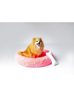 Cama para mascota GO GIFT XL Rosa 80 x 10 x 80 cm