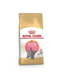 Katzenfutter Royal Canin British Shorthair Kitten Erwachsener Huhn Vögel 400 g