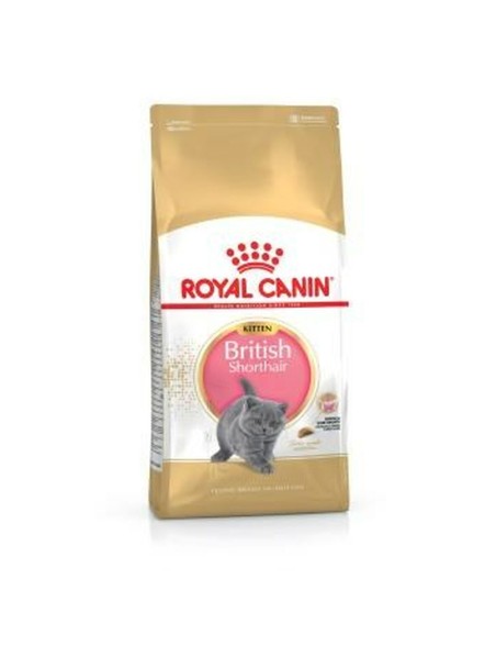 Katzenfutter Royal Canin British Shorthair Kitten Erwachsener Huhn Vögel 400 g