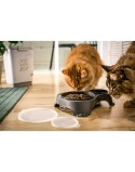 Dog Feeder Rotho Anthracite Plastic