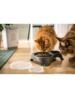 Dog Feeder Rotho Anthracite Plastic