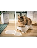 Ciotola per cani Rotho Grigio Plastica