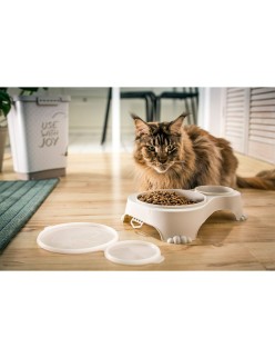 Dog Feeder Rotho Grey Plastic