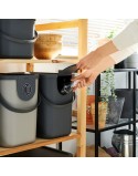 Bucket container Rotho Plastic