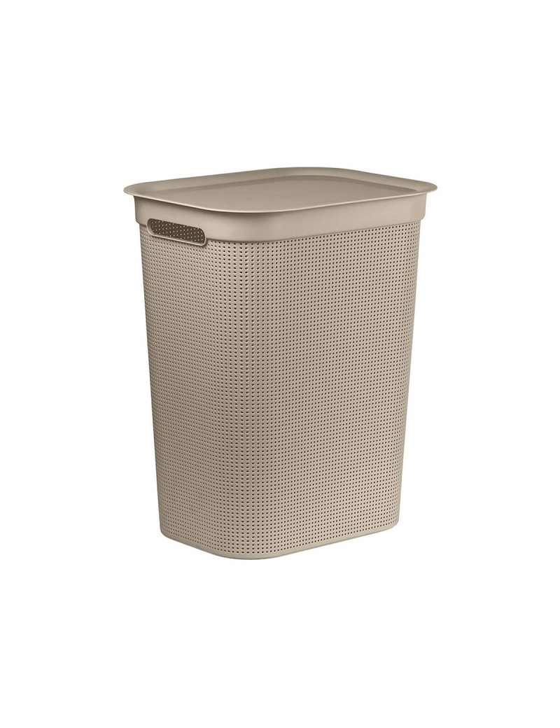 Cat Feeder Rotho 1023507422 Plastic