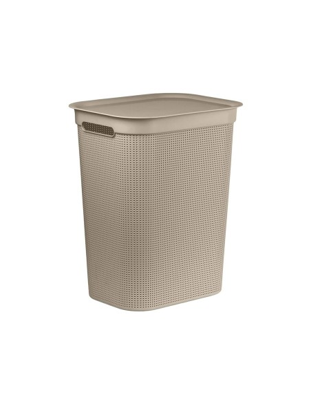 Cat Feeder Rotho 1023507422 Plastic