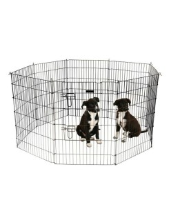 Cage Kerbl Run Noir