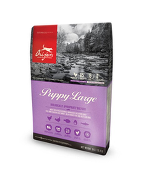 Futter Orijen Puppy Large Welpe/Junior Huhn Truthahn Fisch 6 Kg