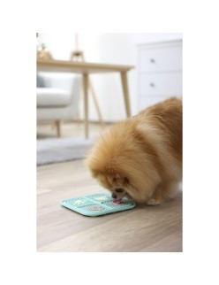 Cat Feeder Kerbl                                 Turquoise Plastic 20 x 20 cm