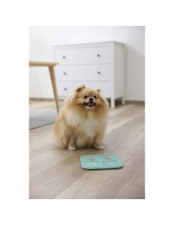 Cat Feeder Kerbl                                 Turquoise Plastic 20 x 20 cm