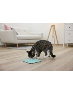 Ciotola per gatti Kerbl                                 Turchese Plastica 20 x 20 cm