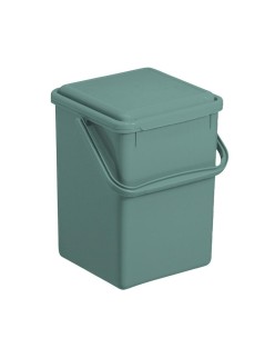 Behälter Rotho                                 grün 9 L
