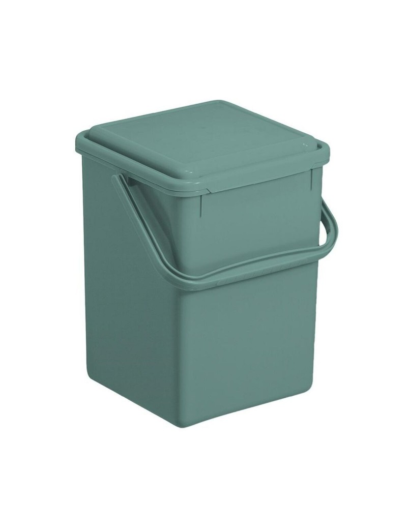 Recipiente-contenitore Rotho                                 Verde 9 L