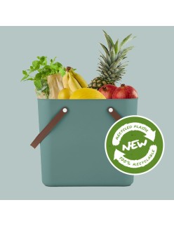Bol de stockage Rotho Albula Classic Green Vert 25 L