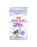 Pienso Royal Canin Mini Sterilised Adulto Pollo 3 Kg