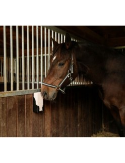 Abbigliamento per animali domestici Kerbl                                 Sì