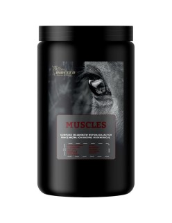 Suplementos y vitaminas Biofeed Horse&Pony
