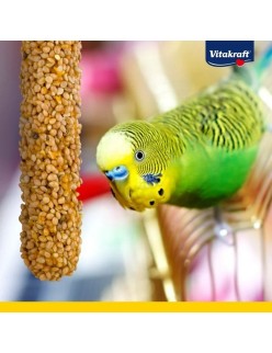 Vogelfutter Vitakraft Kracker Honey and sesame