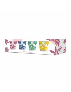 Ensemble de tasses à café Bialetti Primavera Assortiment de couleurs Porcelaine 90 ml 4 Pièces