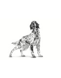 penso Royal Canin Hepatic Adulto Carne Pássaros 7 kg