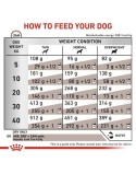 penso Royal Canin Hepatic Adulto Carne Pássaros 7 kg
