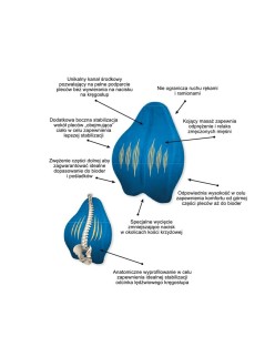 Almofada ergonómica para joelhos e pernas Armedical