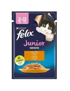 Katzenfutter Purina Fanstastic Huhn 85 g
