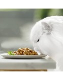 Comida húmeda Purina GOURMET 340 g