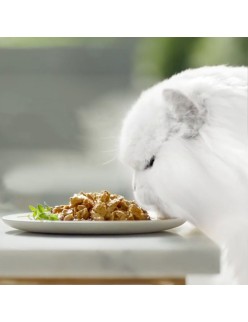 Comida húmida Purina GOURMET 340 g