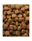 Pienso Versele-Laga Classic Duo Krok Adulto Carne Aves 20 kg