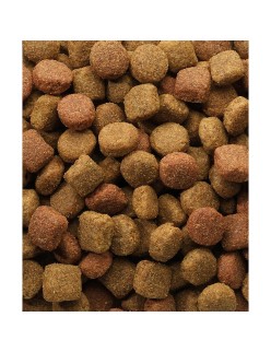Pienso Versele-Laga Classic Duo Krok Adulto Carne Aves 20 kg