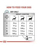 Futter Royal Canin
