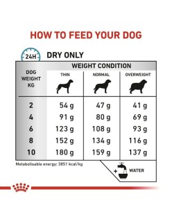 Futter Royal Canin