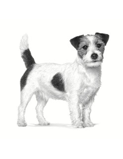 Futter Royal Canin