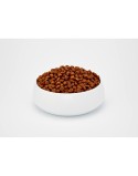 Comida para gato BOSCH ADULT Adulto Frango Pássaros 10 kg
