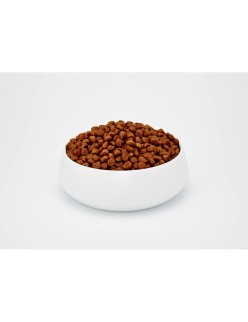 Comida para gato BOSCH ADULT Adulto Frango Pássaros 10 kg